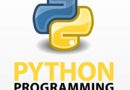 Python Programming Journal