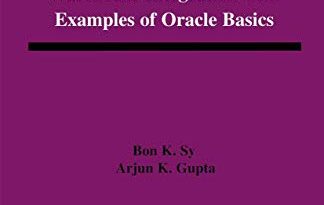 Information-Statistical Data Mining: Warehouse Integration with Examples of Oracle Basics (The Springer International Series in Engineering and Computer Science, 757)