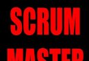 Daily Thoughts of a Scrum Master: Notebook for Agile Professionals